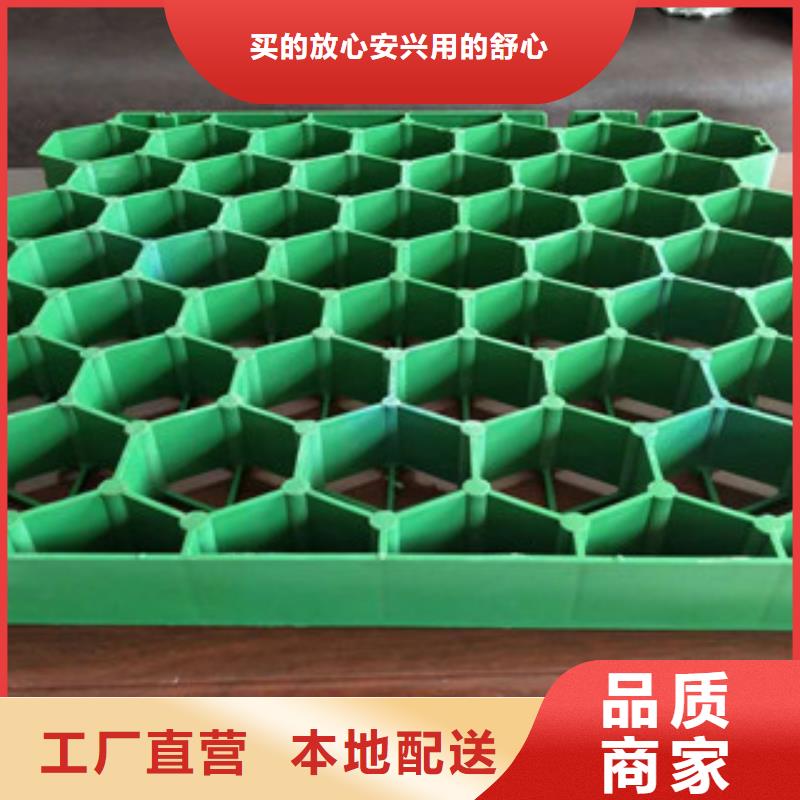 【 植草格,蓄排水板厂家优选厂家】|肥西|肥东|淮南|宿州|安庆|六安|淮北|蚌埠|黄山v651.com