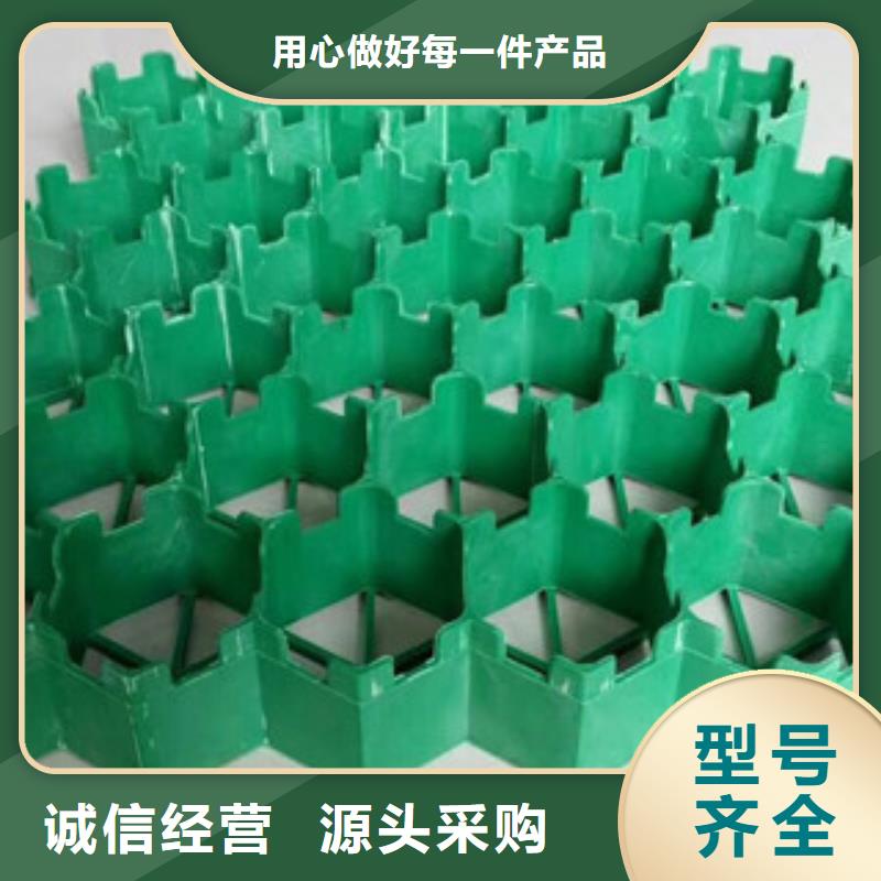 【品种全 植草格膨润土防水毯厂家精选好货】_富泰土工材料有限公司