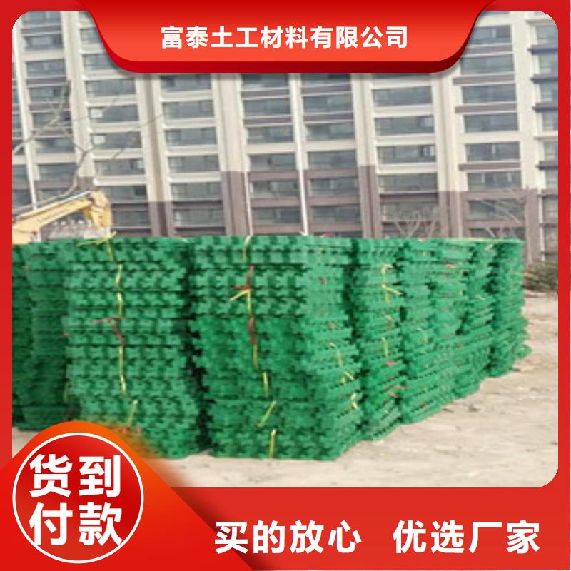 【 植草格,蓄排水板厂家优选厂家】|肥西|肥东|淮南|宿州|安庆|六安|淮北|蚌埠|黄山v651.com
