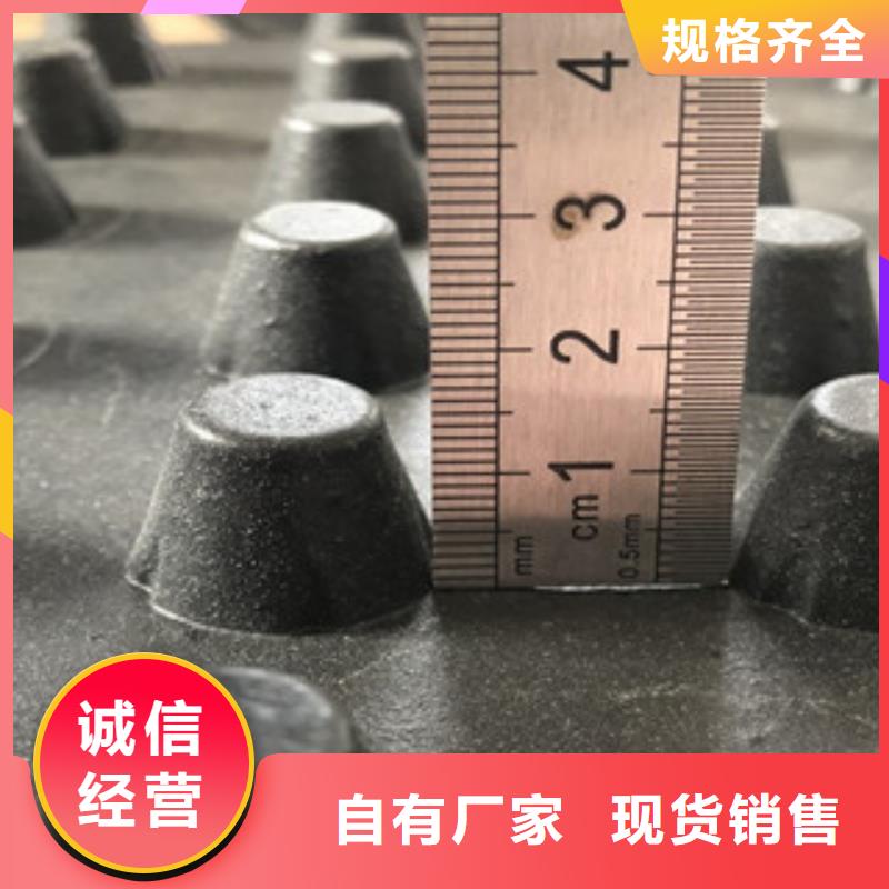 同城供应商排水板_【无纺布厂家】口碑好实力强
