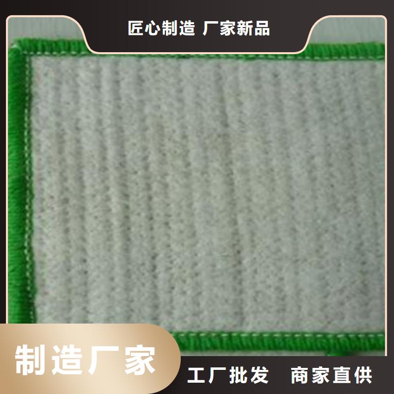 防水毯膨润土防水毯厂家生产型