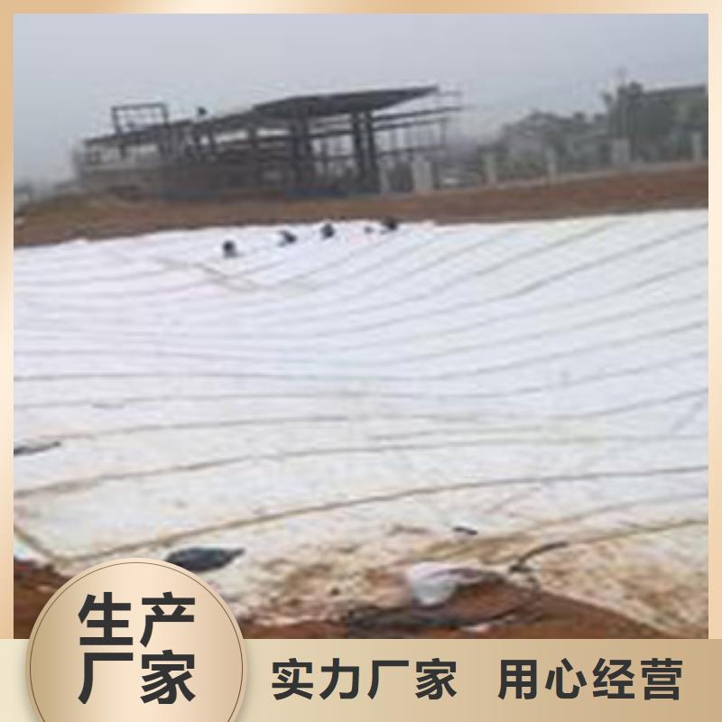 【防水毯】-生态袋厂家品质保证|通辽|呼和浩特|鄂尔多斯|包头|锡林郭勒|兴安|阿拉善生产厂家