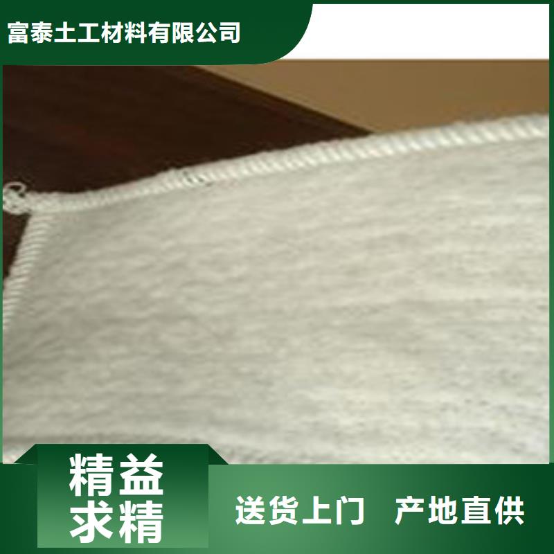 精工细作品质优良 防水毯,【植草格厂家】实力优品