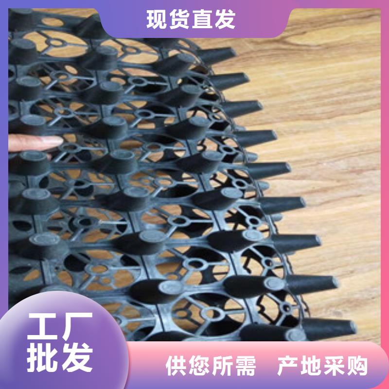 蓄排水板_蓄排水板厂家实拍展现