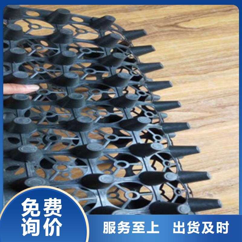蓄排水板蓄排水板厂家产地直销