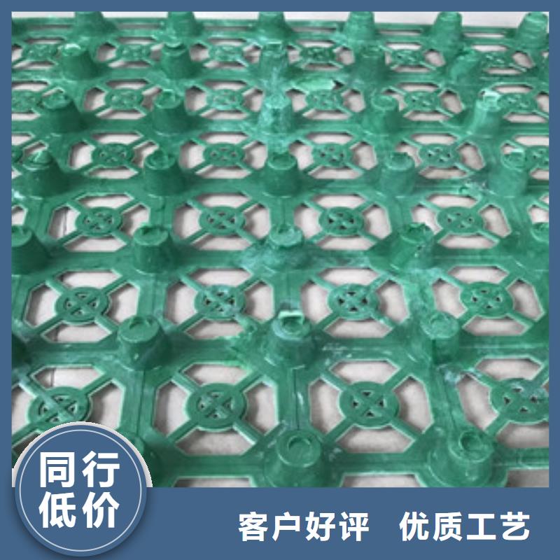 蓄排水板-排水板厂家48小时发货