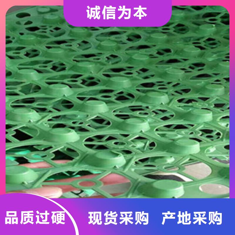 蓄排水板-排水板厂家48小时发货