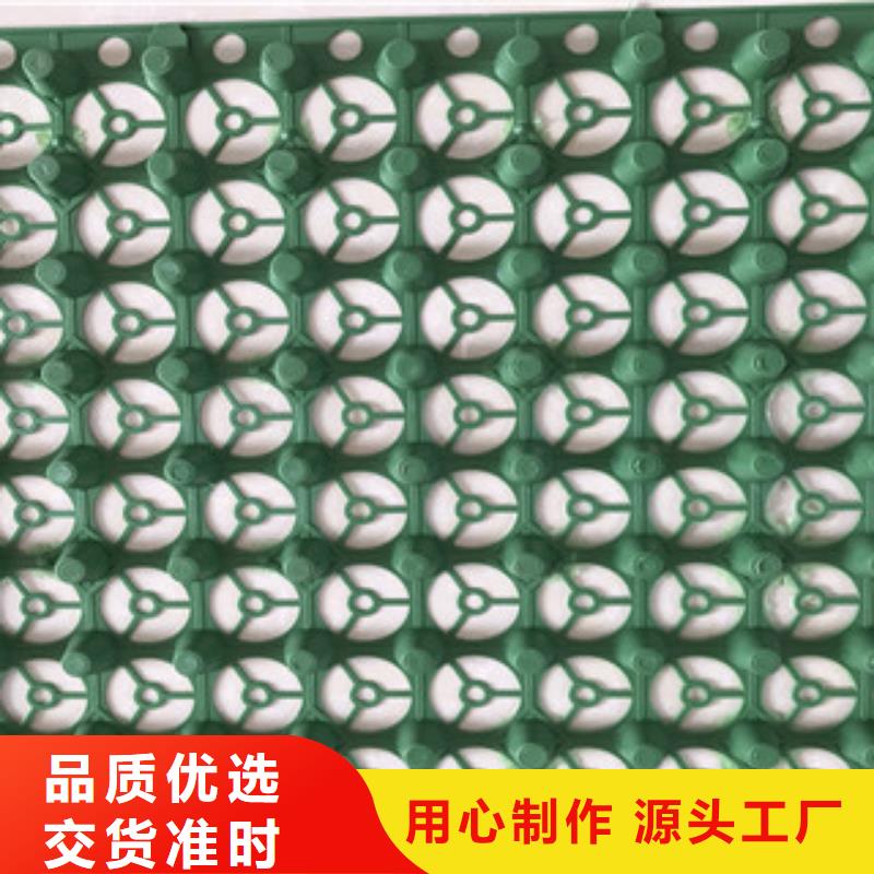 蓄排水板蓄排水板厂家产地直销