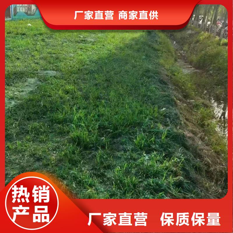 抑尘剂色素量大从优
