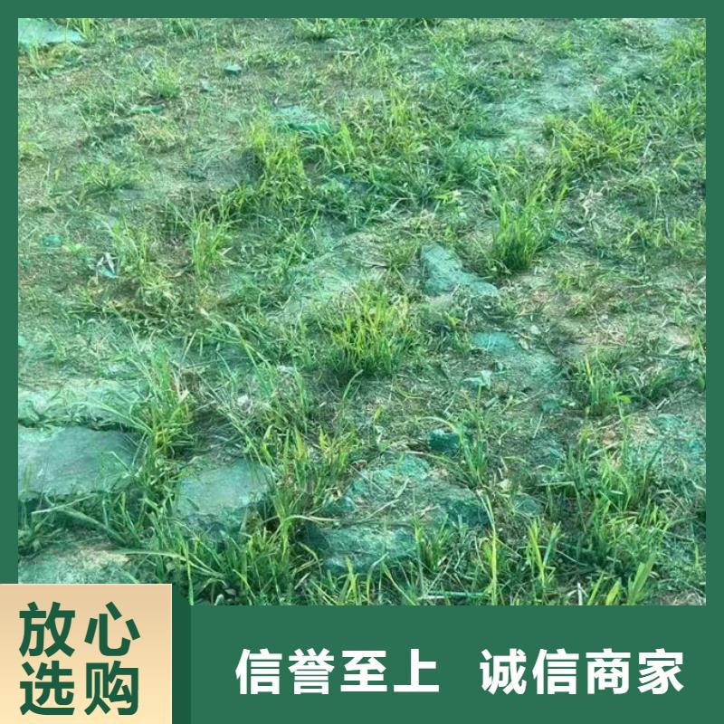 大气污染治理抑尘剂量大从优