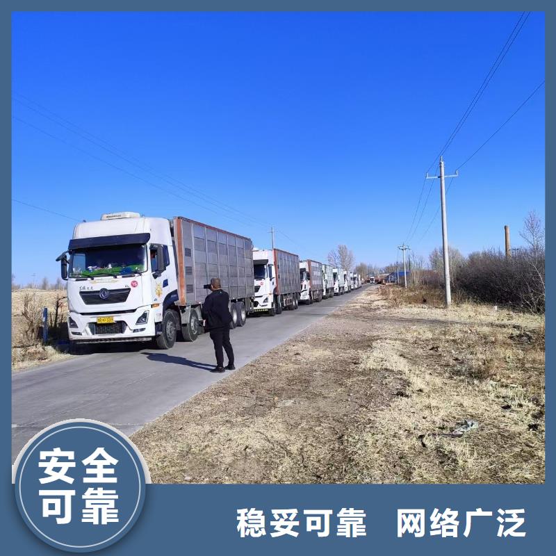 宿迁市沭阳到散装料专用车设备精良