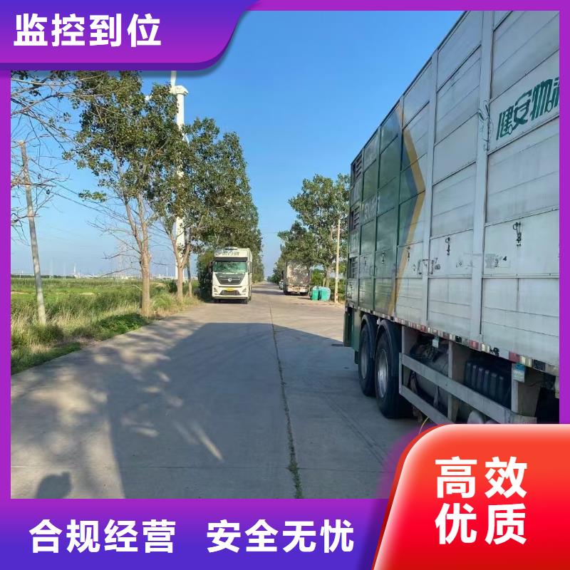 宿迁市沭阳到仔猪空调车运输服务有保障