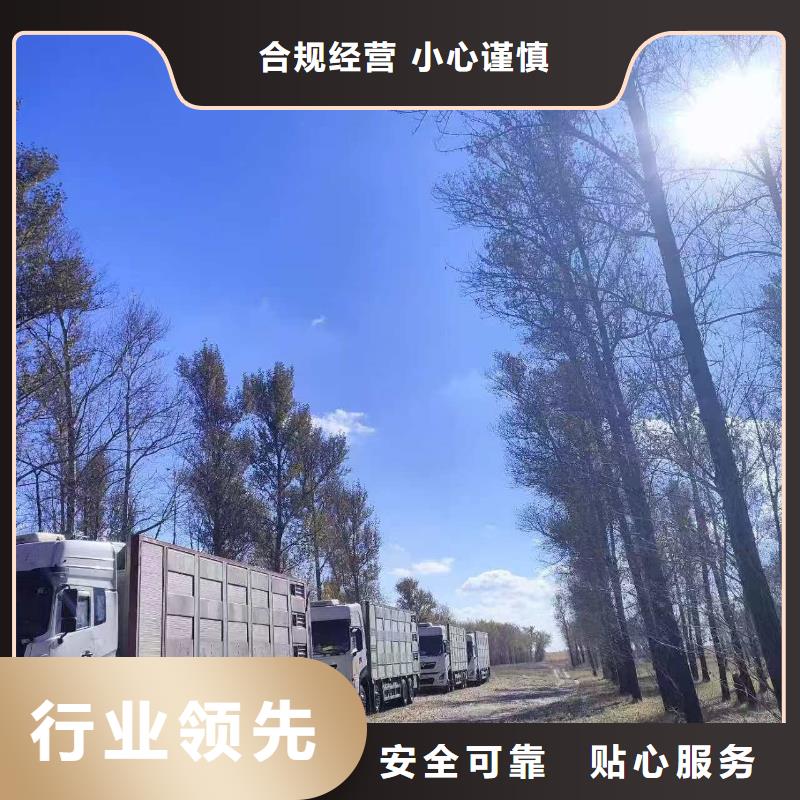 宿迁市到猪运输周到细致