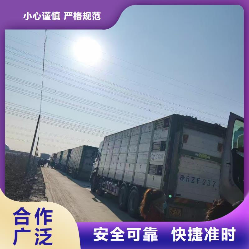 宿迁到畜禽物流天天发车