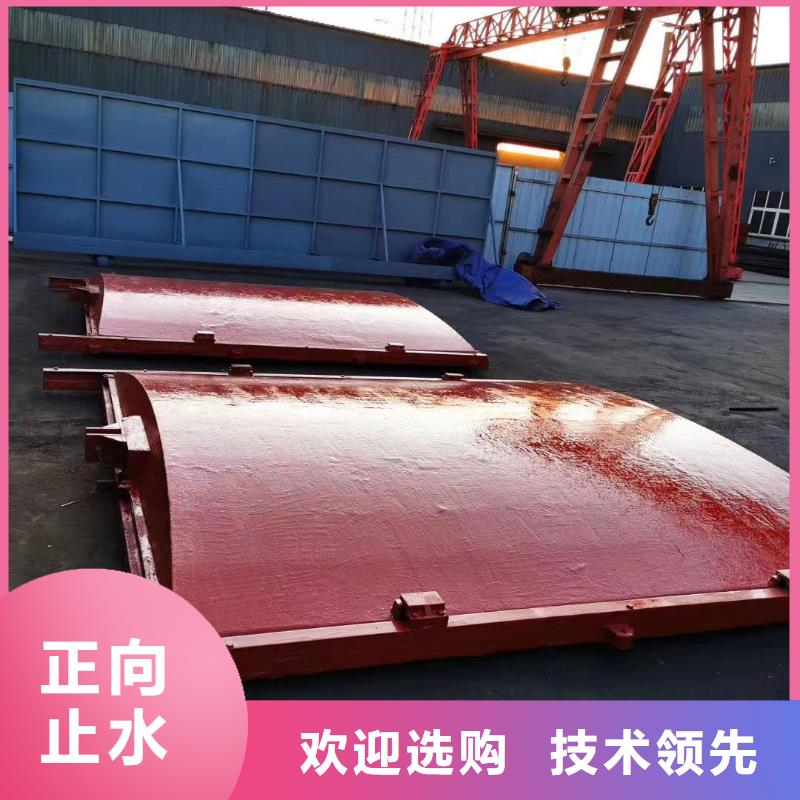 白银水利水电双止水铸铁闸门放心使用
