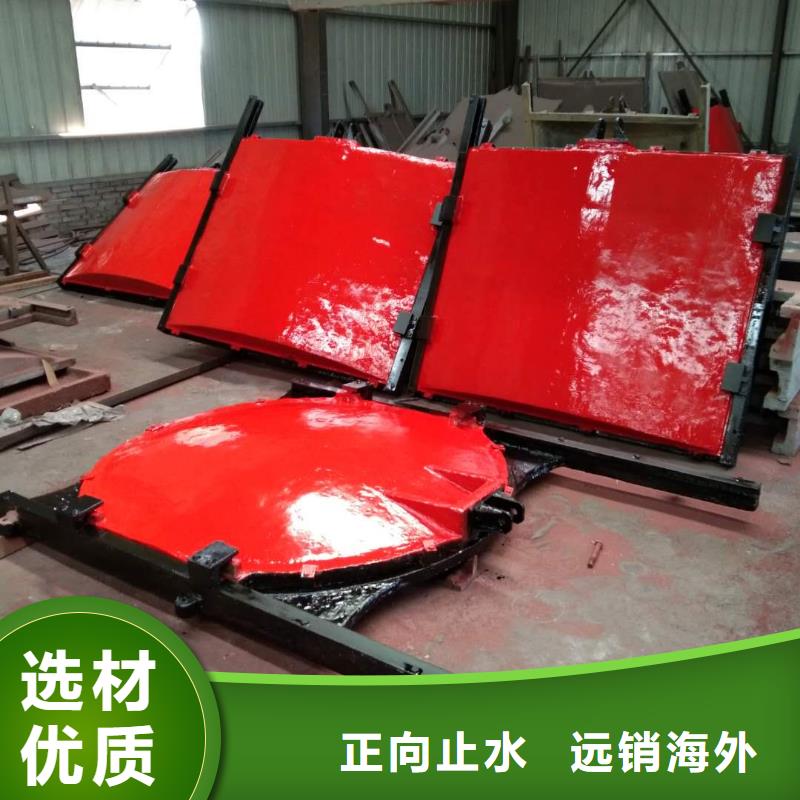 白银水利水电双止水铸铁闸门放心使用