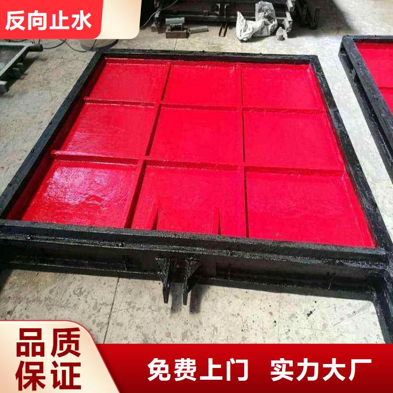 山南堤坝高压铸铁闸门正向止水