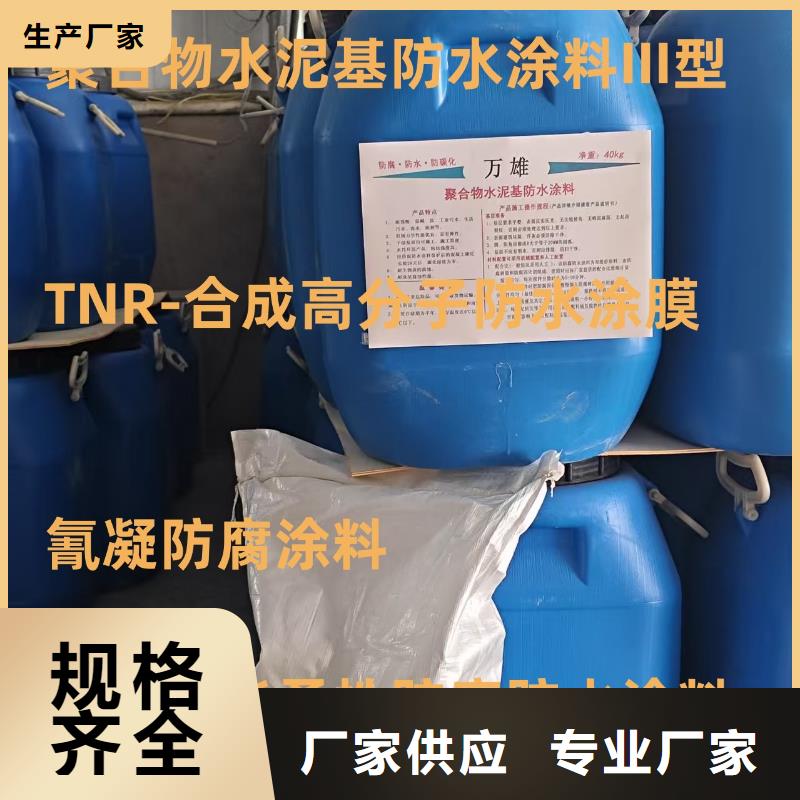 JS防水涂料货源稳定免费询价EMA弹性环氧改性防腐涂料
