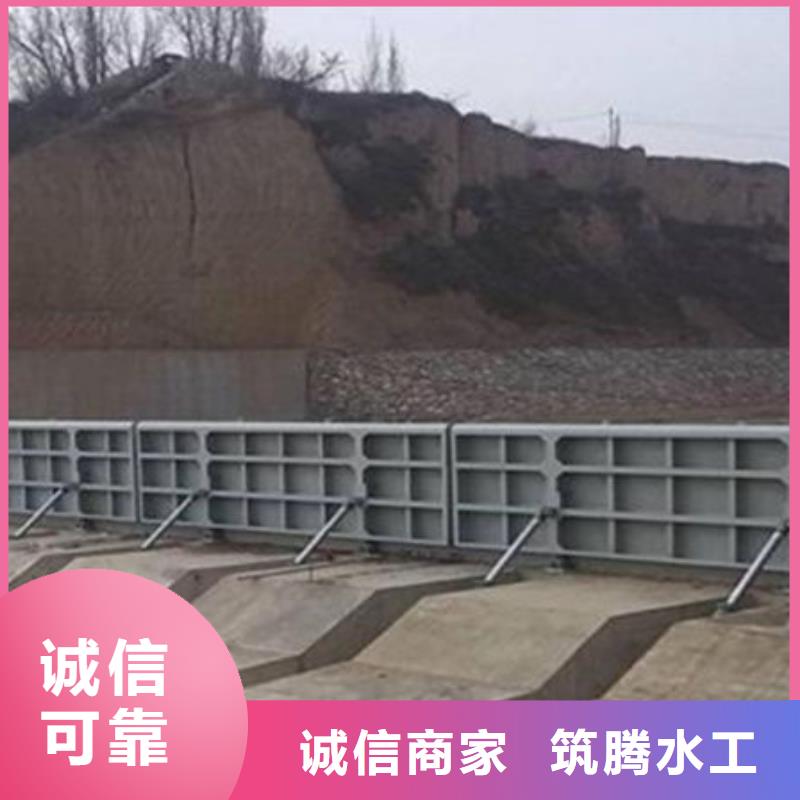 翻板闸门售后无忧