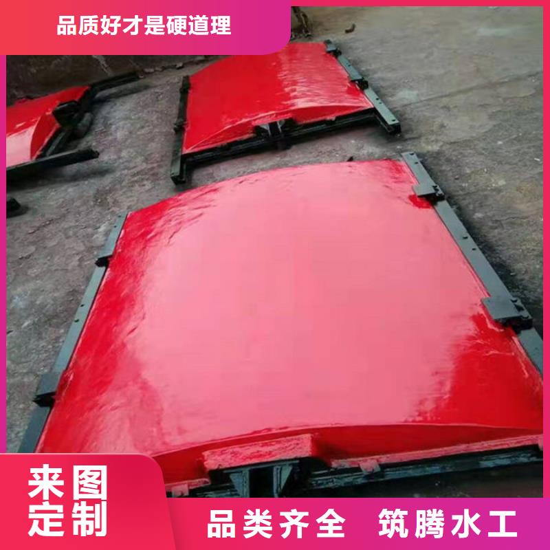 镶铜铸铁闸门诚信为本