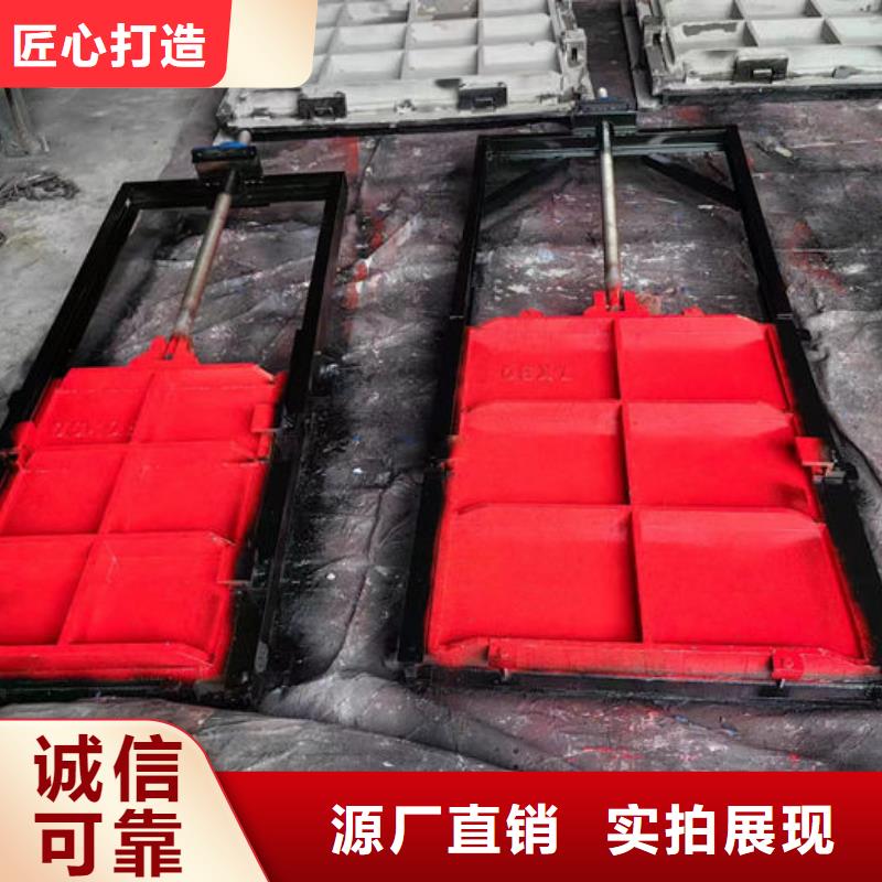 雨污分流闸门型号齐全