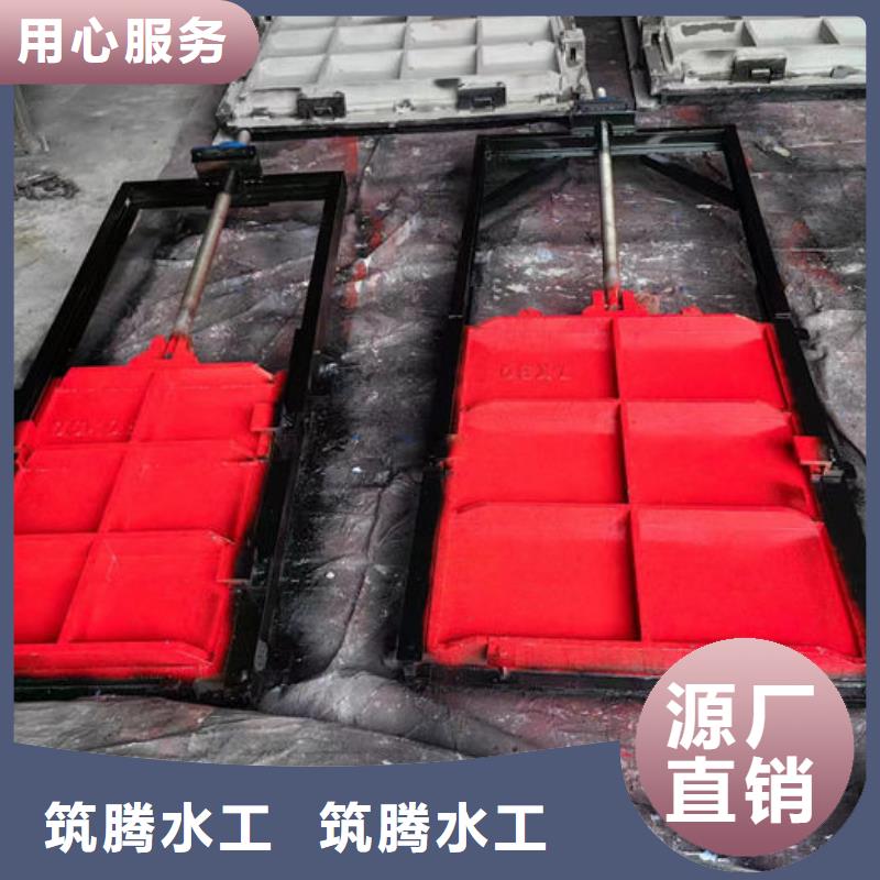 PZJY一体式铸铁闸门厂家直销