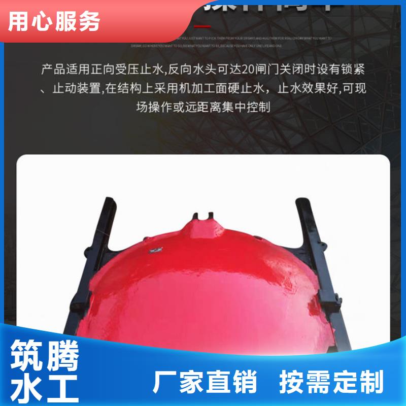 双向铸铁闸门用心经营